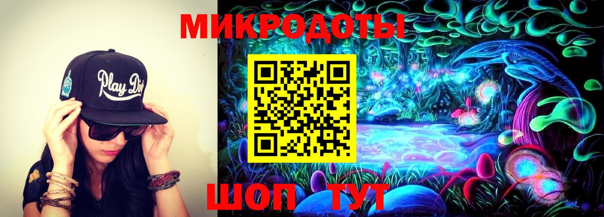 Псилоцибиновые грибы Psilocybine cubensis Торжок